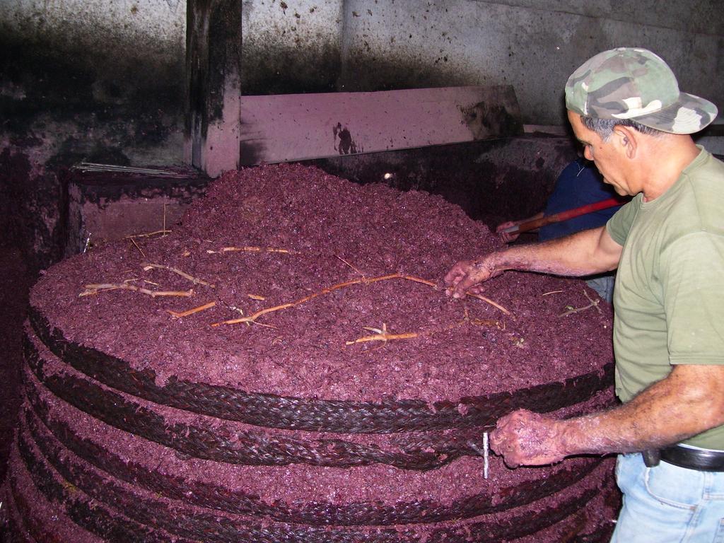 Вілла Etna Wine Azienda Agrituristica Passopisciaro Екстер'єр фото